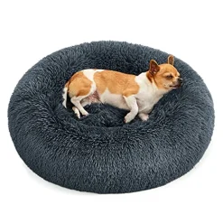 Lucas hundeseng